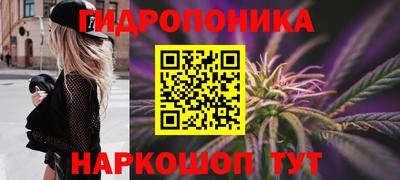 каннабис Шахты