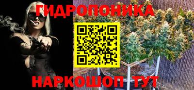 PSILOCYBIN Шебекино