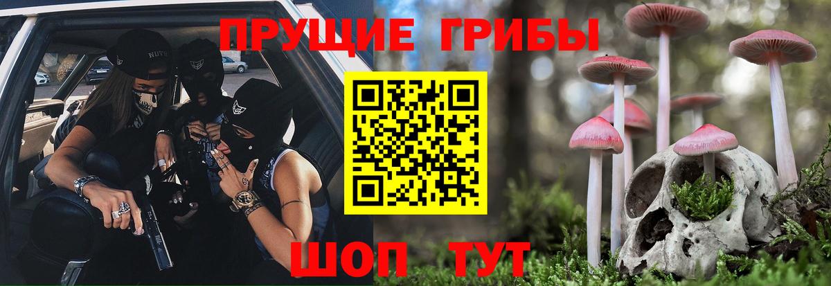 Галлюциногенные грибы Psilocybine cubensis Майский
