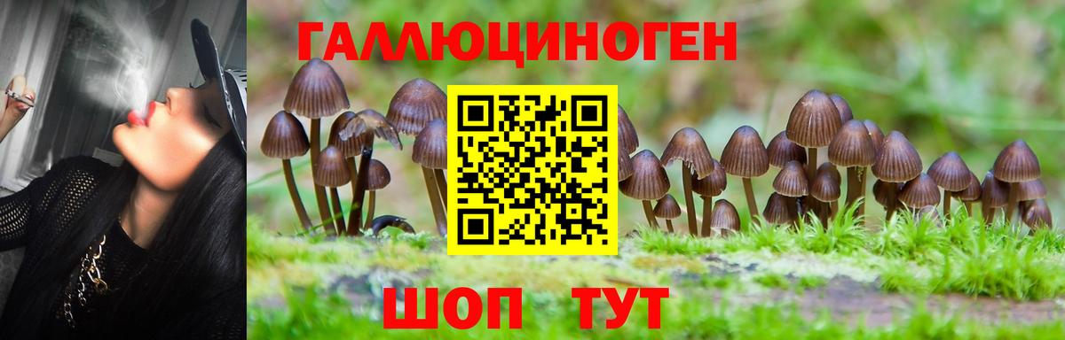 Галлюциногенные грибы Magic Shrooms  Вход с VPN  Майский  Псилоцибиновые грибы Cubensis 